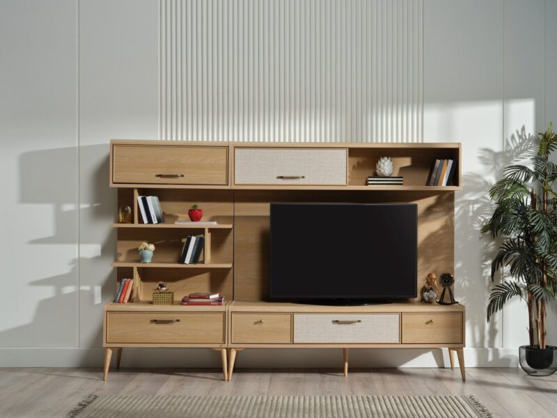 Mitra TV Unit